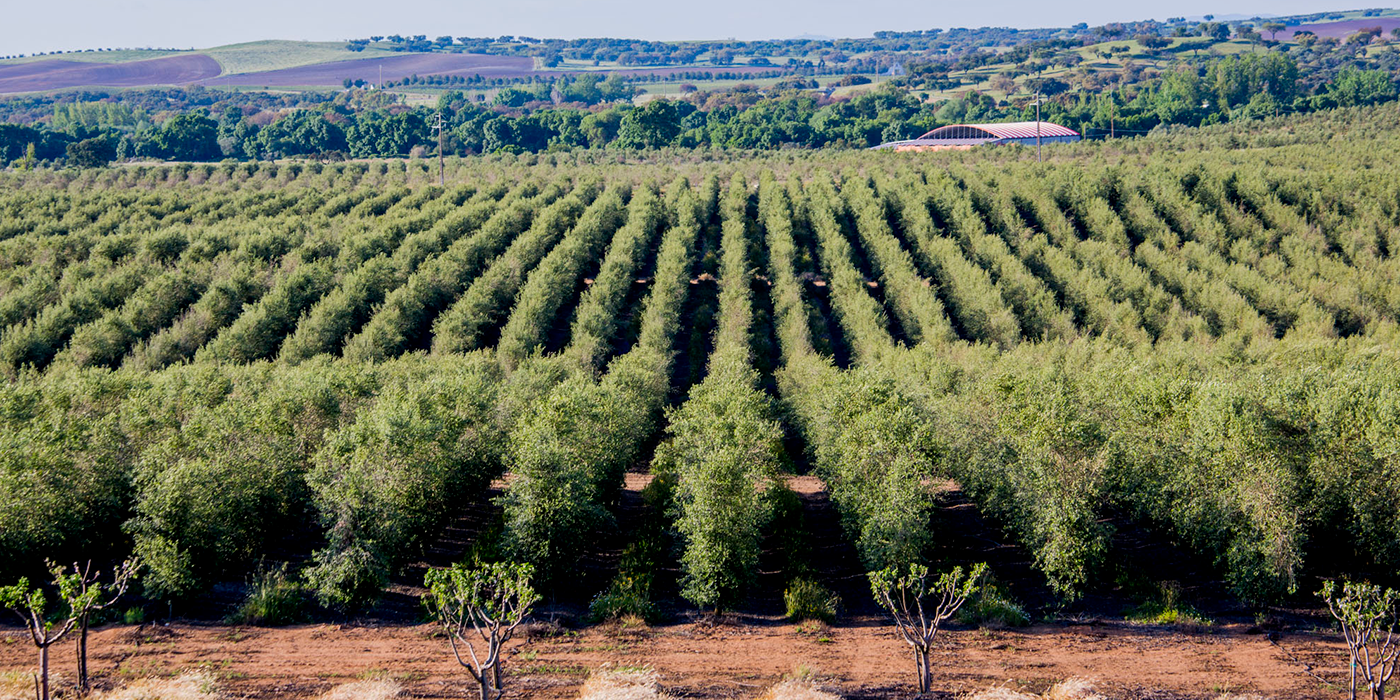 herdade-slide-1