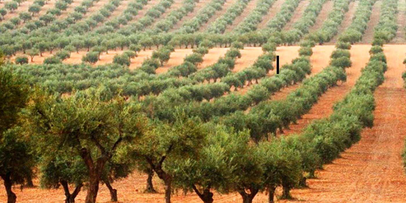 herdade-slide-3